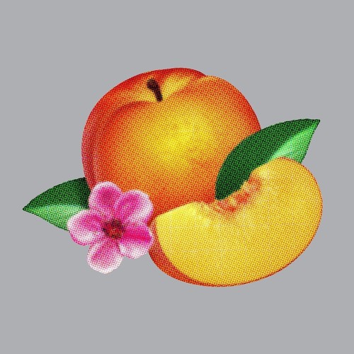 Phoenix bankrupt new - bankrupt!, [new